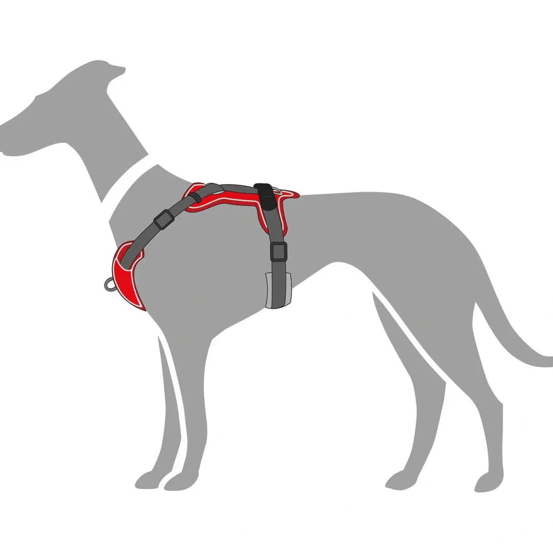 Clearance Divo hundesele S-M rød/grå just mave 52-68 cm - Fleksibel støtte til aktive ture Hvalpeseler - Bløde Justerbare Seler Der Giver Din Hvalp Tryghed Og Støtte På Turen|Hundeseler Til Alle Behov Og Hundestørrelser