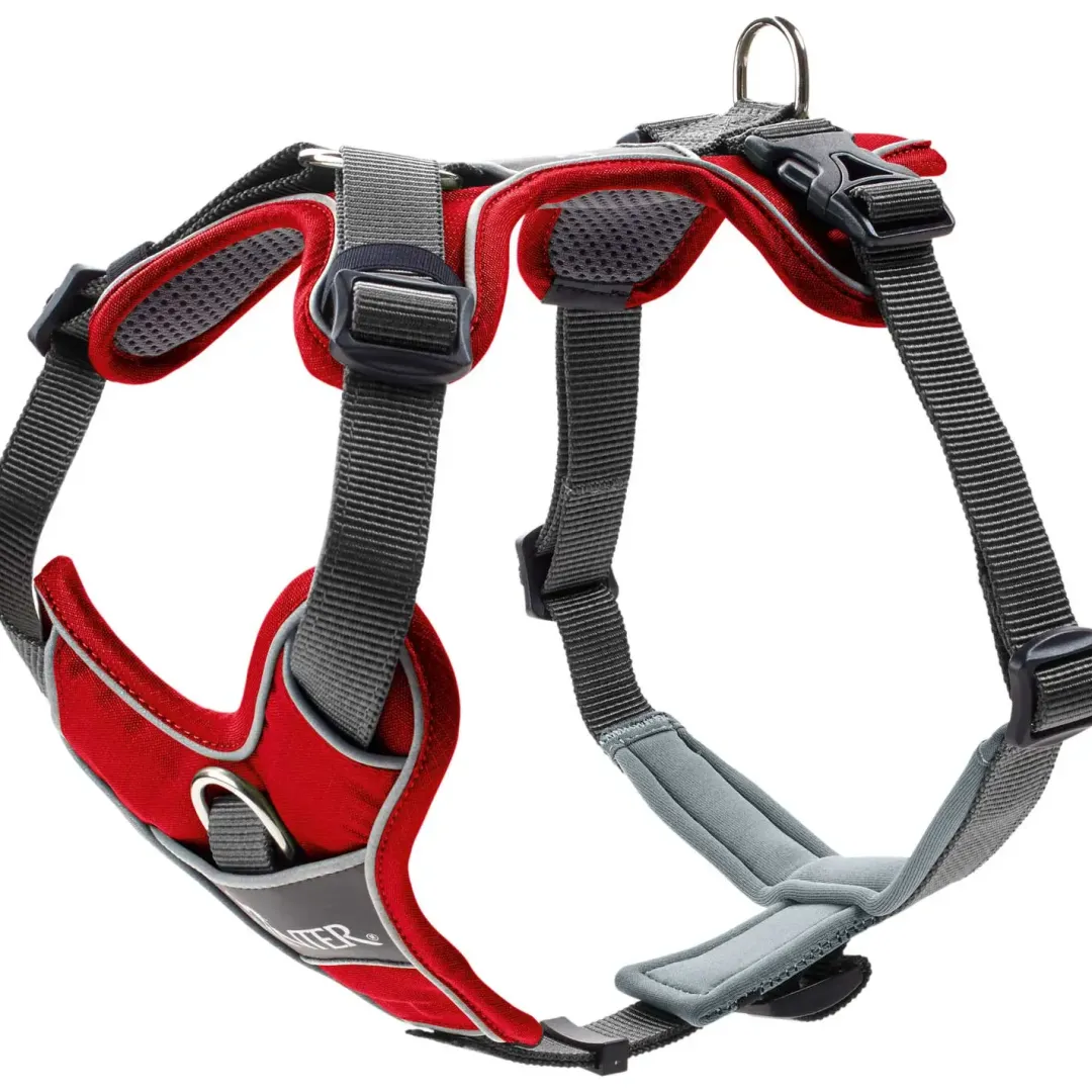 Clearance Divo hundesele S-M rød/grå just mave 52-68 cm - Fleksibel støtte til aktive ture Hvalpeseler - Bløde Justerbare Seler Der Giver Din Hvalp Tryghed Og Støtte På Turen|Hundeseler Til Alle Behov Og Hundestørrelser