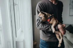 Clearance Divo hundesele S-M rød/grå just mave 52-68 cm - Fleksibel støtte til aktive ture Hvalpeseler - Bløde Justerbare Seler Der Giver Din Hvalp Tryghed Og Støtte På Turen|Hundeseler Til Alle Behov Og Hundestørrelser