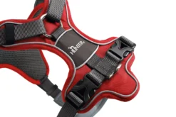 Clearance Divo hundesele S-M rød/grå just mave 52-68 cm - Fleksibel støtte til aktive ture Hvalpeseler - Bløde Justerbare Seler Der Giver Din Hvalp Tryghed Og Støtte På Turen|Hundeseler Til Alle Behov Og Hundestørrelser