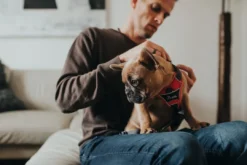 Clearance Divo hundesele S-M rød/grå just mave 52-68 cm - Fleksibel støtte til aktive ture Hvalpeseler - Bløde Justerbare Seler Der Giver Din Hvalp Tryghed Og Støtte På Turen|Hundeseler Til Alle Behov Og Hundestørrelser