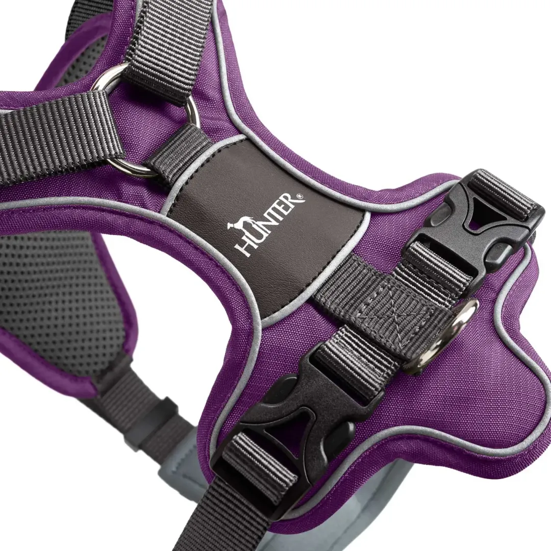 Best Divo hundesele S violet/grå just mave 45-56 cm - Tryg pasform og bevægelse Hvalpeseler - Bløde Justerbare Seler Der Giver Din Hvalp Tryghed Og Støtte På Turen|Hundeseler Til Alle Behov Og Hundestørrelser