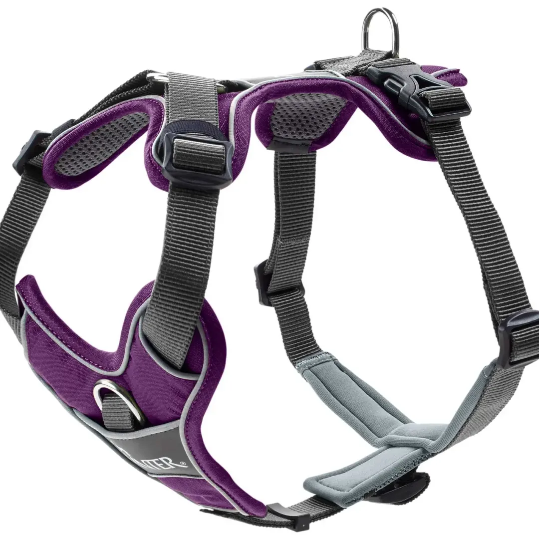 Best Divo hundesele S violet/grå just mave 45-56 cm - Tryg pasform og bevægelse Hvalpeseler - Bløde Justerbare Seler Der Giver Din Hvalp Tryghed Og Støtte På Turen|Hundeseler Til Alle Behov Og Hundestørrelser