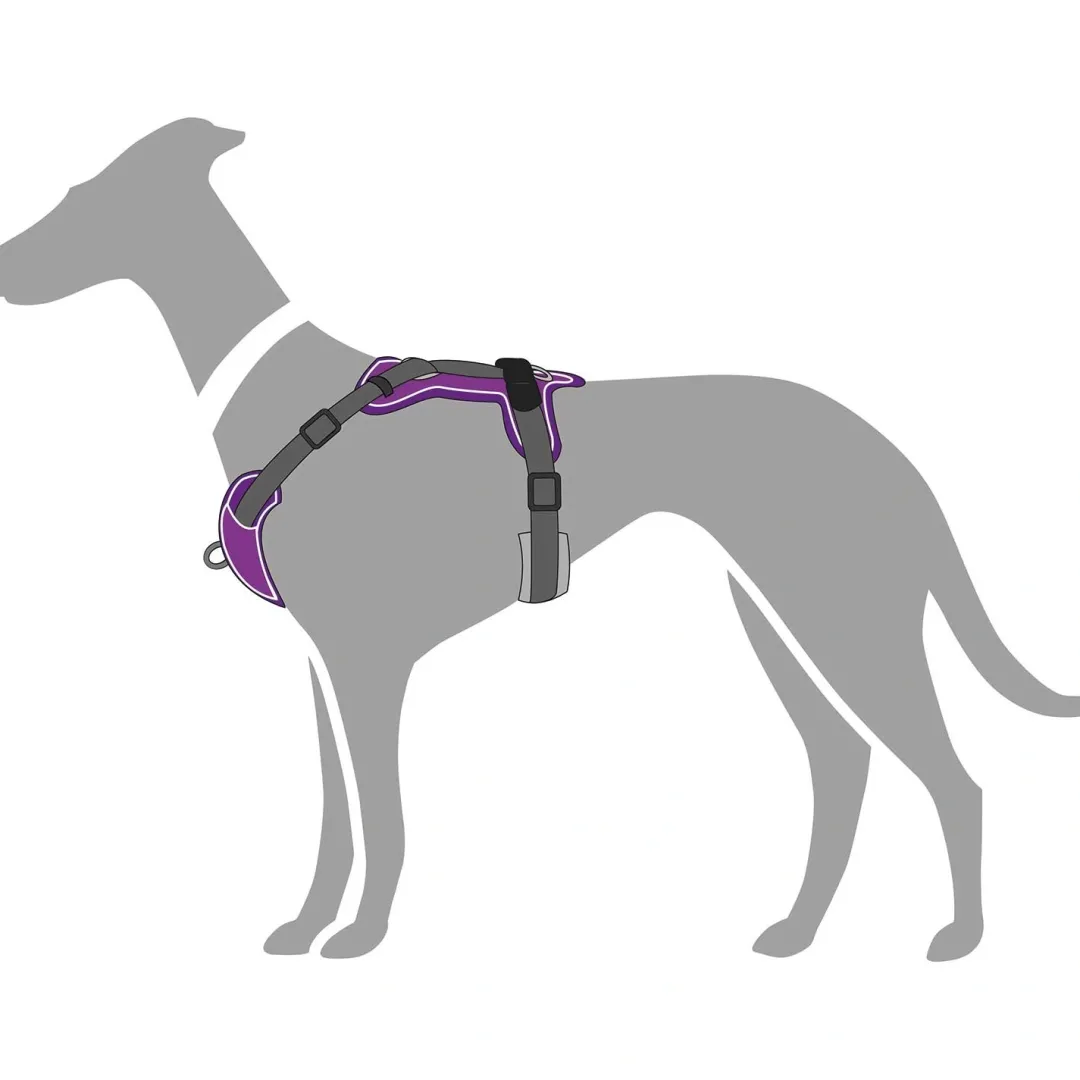 Best Divo hundesele S violet/grå just mave 45-56 cm - Tryg pasform og bevægelse Hvalpeseler - Bløde Justerbare Seler Der Giver Din Hvalp Tryghed Og Støtte På Turen|Hundeseler Til Alle Behov Og Hundestørrelser