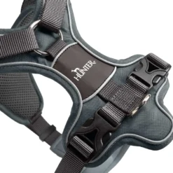 Sale Divo hundesele XS grå/grå just mave 34-47 cm - Stabil kontrol og komfort Hvalpeseler - Bløde Justerbare Seler Der Giver Din Hvalp Tryghed Og Støtte På Turen|Hundeseler Til Alle Behov Og Hundestørrelser