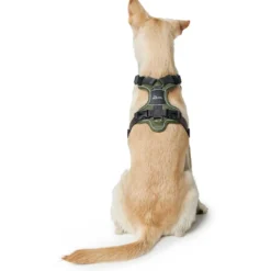 Discount Divo hundesele XS grøn/grå just mave 34-47 cm - Let komfort og tryg pasform Hvalpeseler - Bløde Justerbare Seler Der Giver Din Hvalp Tryghed Og Støtte På Turen|Hundeseler Til Alle Behov Og Hundestørrelser