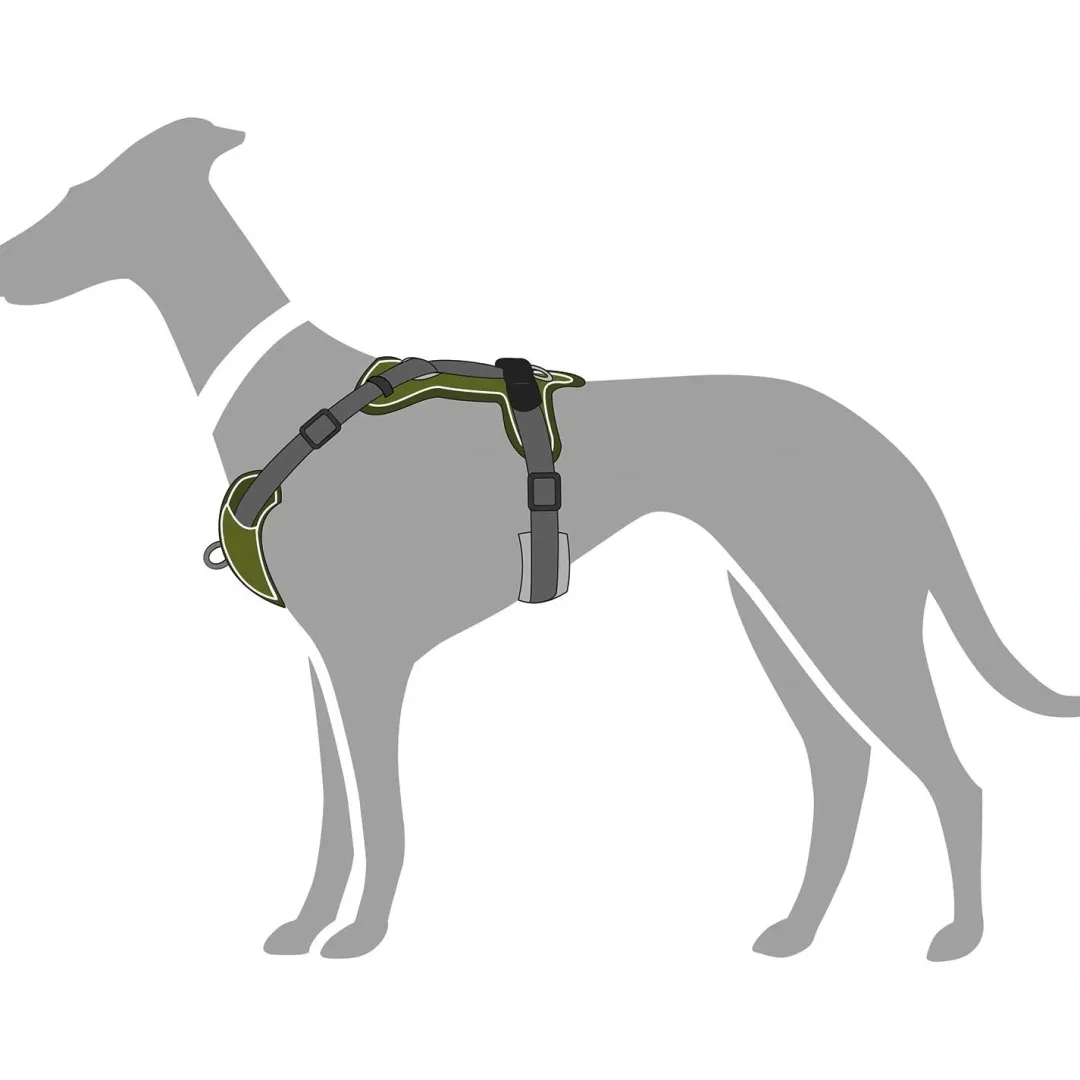 Discount Divo hundesele XS grøn/grå just mave 34-47 cm - Let komfort og tryg pasform Hvalpeseler - Bløde Justerbare Seler Der Giver Din Hvalp Tryghed Og Støtte På Turen|Hundeseler Til Alle Behov Og Hundestørrelser