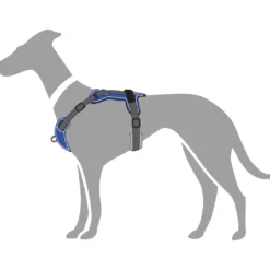 Sale Divo hundesele XS petrol/grå just mave 34-47 cm - Stabil pasform og synlig sikkerhed Hvalpeseler - Bløde Justerbare Seler Der Giver Din Hvalp Tryghed Og Støtte På Turen|Hundeseler Til Alle Behov Og Hundestørrelser