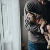 New Divo hundesele XS rød/grå just mave 34-47 cm - Let pasform og tryg kontrol Hvalpeseler - Bløde Justerbare Seler Der Giver Din Hvalp Tryghed Og Støtte På Turen|Hundeseler Til Alle Behov Og Hundestørrelser
