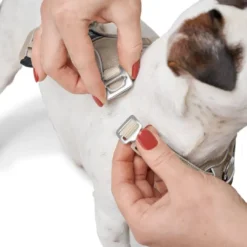Clearance Divo Up hundesele L-XL beige just mave 79-107 cm - Ekstra stabil støtte og rolig håndtering Hvalpeseler - Bløde Justerbare Seler Der Giver Din Hvalp Tryghed Og Støtte På Turen|Hundeseler Til Alle Behov Og Hundestørrelser