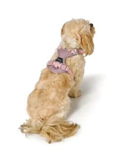 Divo Up hundesele M lyserød just mave 56-73 cm - Stabil bevægelse og afbalanceret komfort Hvalpeseler - Bløde Justerbare Seler Der Giver Din Hvalp Tryghed Og Støtte På Turen|Hundeseler Til Alle Behov Og Hundestørrelser