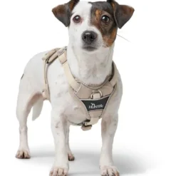 Best Divo Up hundesele S beige just mave 45-56 cm - Rolig påtagning og stabil komfort Hvalpeseler - Bløde Justerbare Seler Der Giver Din Hvalp Tryghed Og Støtte På Turen|Hundeseler Til Alle Behov Og Hundestørrelser