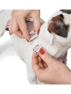 New Divo Up hundesele S lyserød just mave 45-56 cm - Rolig påtagning og stabil komfort Hvalpeseler - Bløde Justerbare Seler Der Giver Din Hvalp Tryghed Og Støtte På Turen|Hundeseler Til Alle Behov Og Hundestørrelser