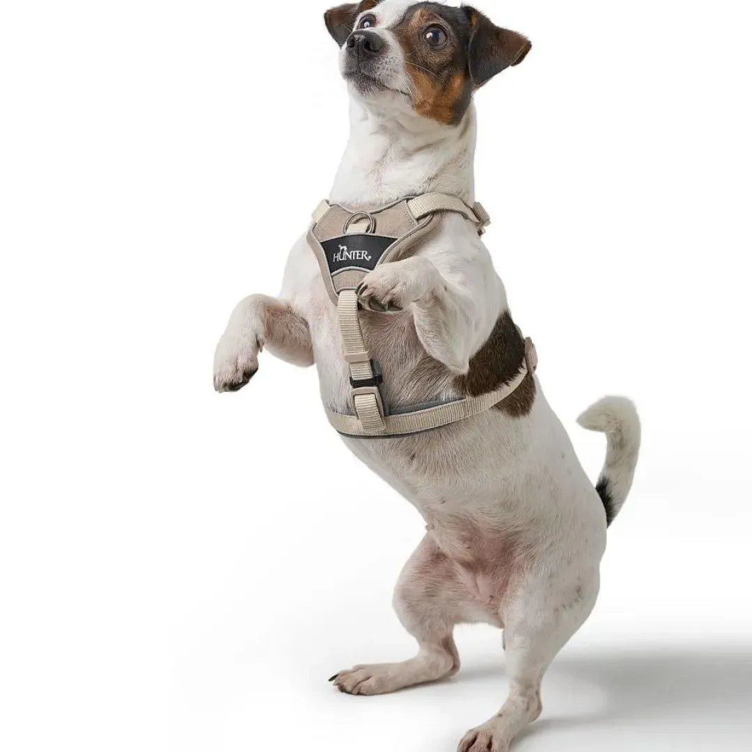 Sale Divo Up hundesele S-M beige just mave 52-56 cm - Kontrolleret bevægelse og fleksibel pasform Hvalpeseler - Bløde Justerbare Seler Der Giver Din Hvalp Tryghed Og Støtte På Turen|Hundeseler Til Alle Behov Og Hundestørrelser