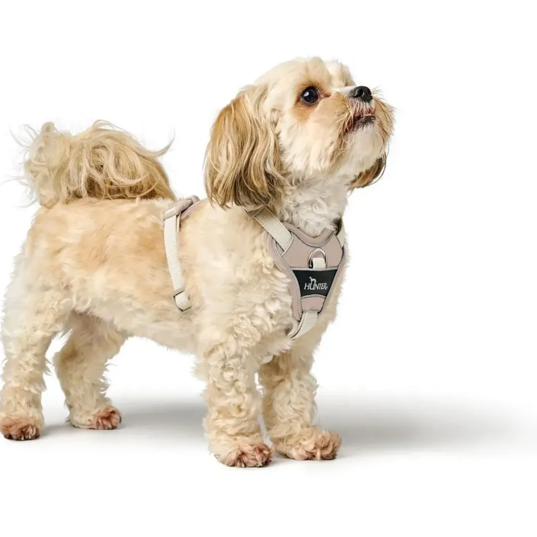 Sale Divo Up hundesele S-M beige just mave 52-56 cm - Kontrolleret bevægelse og fleksibel pasform Hvalpeseler - Bløde Justerbare Seler Der Giver Din Hvalp Tryghed Og Støtte På Turen|Hundeseler Til Alle Behov Og Hundestørrelser