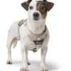 Clearance Divo Up hundesele XS beige just mave 34-47 cm - Nem påtagning og ergonomisk komfort Hvalpeseler - Bløde Justerbare Seler Der Giver Din Hvalp Tryghed Og Støtte På Turen|Hundeseler Til Alle Behov Og Hundestørrelser