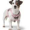 Hot Divo Up hundesele XS lyserød just mave 34-47 cm - Blid påtagning og let ergonomisk komfort Hvalpeseler - Bløde Justerbare Seler Der Giver Din Hvalp Tryghed Og Støtte På Turen|Hundeseler Til Alle Behov Og Hundestørrelser