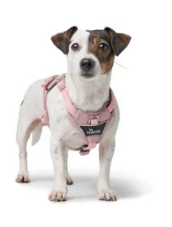 Hot Divo Up hundesele XS lyserød just mave 34-47 cm - Blid påtagning og let ergonomisk komfort Hvalpeseler - Bløde Justerbare Seler Der Giver Din Hvalp Tryghed Og Støtte På Turen|Hundeseler Til Alle Behov Og Hundestørrelser