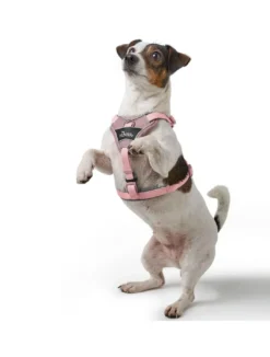 Hot Divo Up hundesele XS lyserød just mave 34-47 cm - Blid påtagning og let ergonomisk komfort Hvalpeseler - Bløde Justerbare Seler Der Giver Din Hvalp Tryghed Og Støtte På Turen|Hundeseler Til Alle Behov Og Hundestørrelser