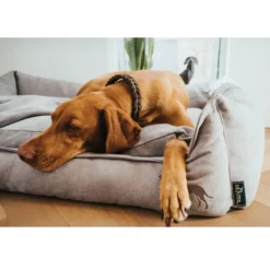 Sale Eiby hundeseng Medium 80x60 cm Grå Hundesenge Og Kurve Til Hunde - Bløde Og Komfortable|Sovepladser Til Hvalpe - Hundesenge, Kølemåtter Og Trygge Hvilesteder