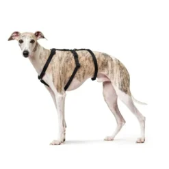 Best Escape-proof sele Vario Rapid Sort L længde 51-85 cm 2,5 cm - sikker pasform Hundeseler Til Alle Behov Og Hundestørrelser