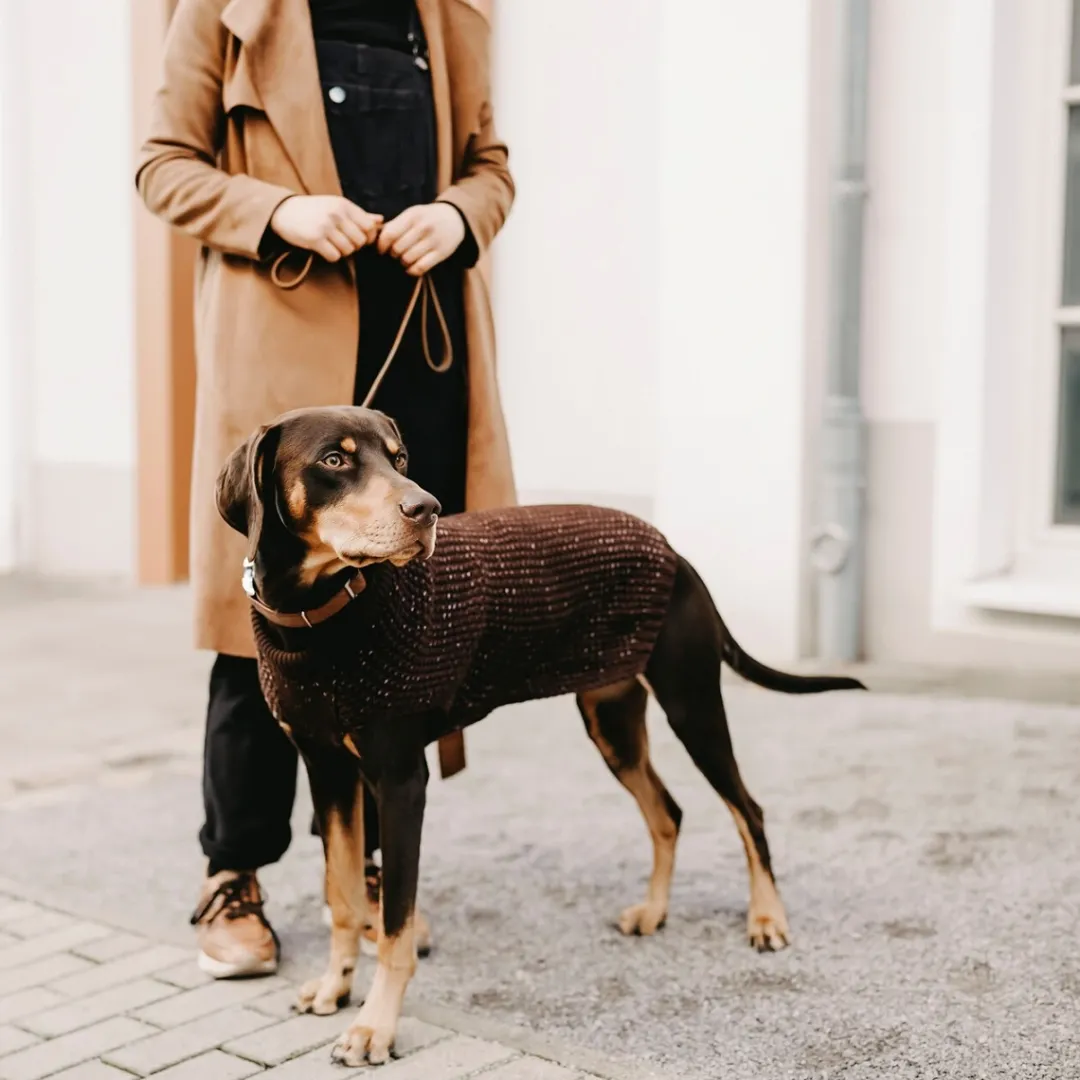 Online Finja pullover strik Mørkebrun str 60 Hundetøj Til Hvalpe - Varme Dækkener Og Sko Til Trygge Gåture|Hundetøj Til Alle Hunde Med Varme Dækkener Og Sko
