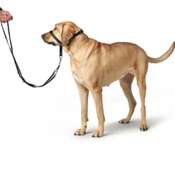 Online Follow Me snudesele til hund str XL Hundeseler Til Alle Behov Og Hundestørrelser