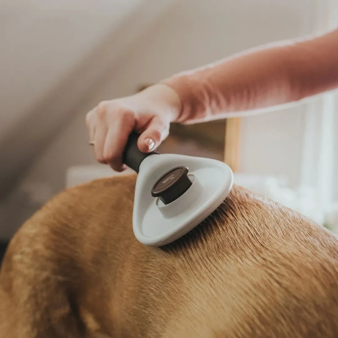 Best Glattende Selvrensende Børste lille Plejemidler Til Hund Med Fokus På Sundhed Og Velvære|Pleje Af Hvalpe - Alt I Plejemidler Til Pels, Poter Og Hud