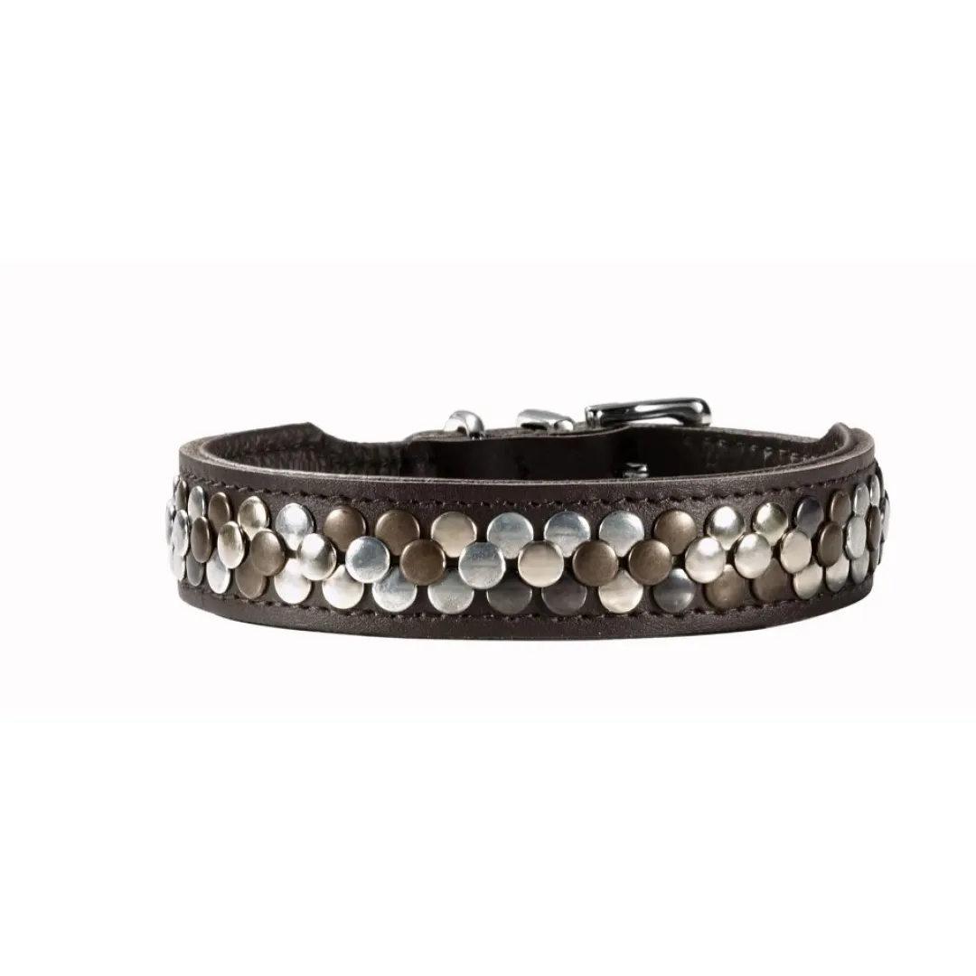 Discount Halsbånd Arizona 47 Brun - 38-43,5 cm Hvalpehalsbånd - Bløde Og Sikre Halsbånd Med Perfekt Pasform Til Din Hvalp|Hundehalsbånd Med Stil - Komfort Og Sikkerhed Til Din Hund