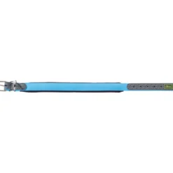Sale Halsbånd Convenience 40 Blå - 29-35 cm Hvalpehalsbånd - Bløde Og Sikre Halsbånd Med Perfekt Pasform Til Din Hvalp|Hundehalsbånd Med Stil - Komfort Og Sikkerhed Til Din Hund