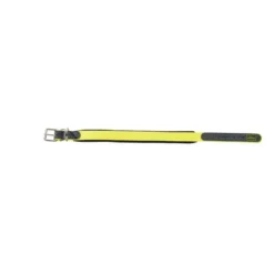 Clearance Halsbånd Convenience 40 Gul - 29-35 cm Hvalpehalsbånd - Bløde Og Sikre Halsbånd Med Perfekt Pasform Til Din Hvalp|Hundehalsbånd Med Stil - Komfort Og Sikkerhed Til Din Hund