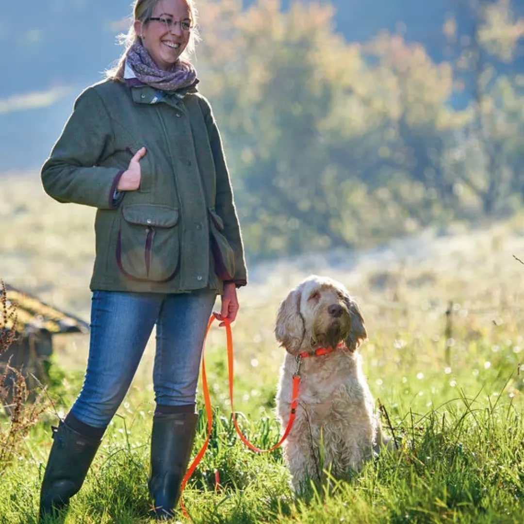 Best Halsbånd Convenience 35 Orange - 22-30 cm Hvalpehalsbånd - Bløde Og Sikre Halsbånd Med Perfekt Pasform Til Din Hvalp|Hundehalsbånd Med Stil - Komfort Og Sikkerhed Til Din Hund