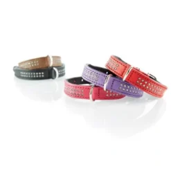 Hot Halsbånd Diamond Petit 30 Sort - 23-27 cm Hvalpehalsbånd - Bløde Og Sikre Halsbånd Med Perfekt Pasform Til Din Hvalp|Hundehalsbånd Med Stil - Komfort Og Sikkerhed Til Din Hund