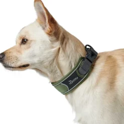 Halsbånd Divo L Grøn/Grå - justerbart hundehalsbånd (45-55 cm, B 4,5 cm) Hvalpehalsbånd - Bløde Og Sikre Halsbånd Med Perfekt Pasform Til Din Hvalp|Hundehalsbånd Med Stil - Komfort Og Sikkerhed Til Din Hund