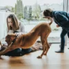 Best Halsbånd Divo L Petrol/Grå - justerbart hundehalsbånd (45-55 cm, B 4,5 cm) Hvalpehalsbånd - Bløde Og Sikre Halsbånd Med Perfekt Pasform Til Din Hvalp|Hundehalsbånd Med Stil - Komfort Og Sikkerhed Til Din Hund