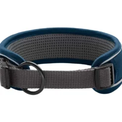Best Halsbånd Divo L Petrol/Grå - justerbart hundehalsbånd (45-55 cm, B 4,5 cm) Hvalpehalsbånd - Bløde Og Sikre Halsbånd Med Perfekt Pasform Til Din Hvalp|Hundehalsbånd Med Stil - Komfort Og Sikkerhed Til Din Hund