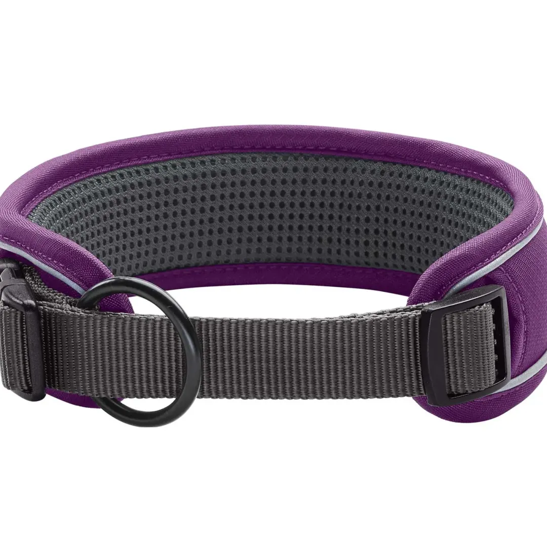 Hot Halsbånd Divo S Violet/Grå - justerbart hundehalsbånd (25-35 cm, B 4 cm) Hvalpehalsbånd - Bløde Og Sikre Halsbånd Med Perfekt Pasform Til Din Hvalp|Hundehalsbånd Med Stil - Komfort Og Sikkerhed Til Din Hund