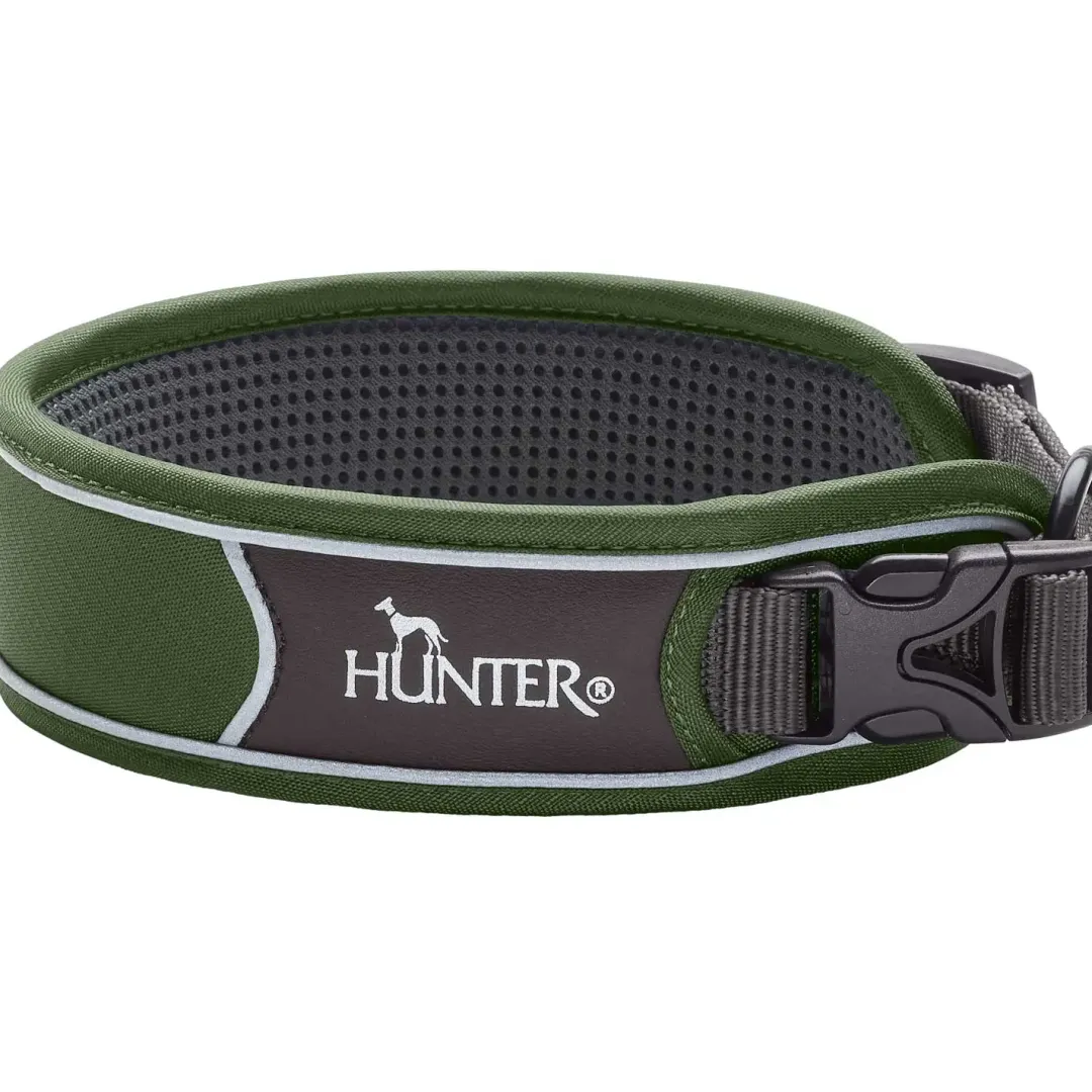 Sale Halsbånd Divo XL Grøn/Grå - justerbart hundehalsbånd (55-65 cm, B 5,5 cm) Hvalpehalsbånd - Bløde Og Sikre Halsbånd Med Perfekt Pasform Til Din Hvalp|Hundehalsbånd Med Stil - Komfort Og Sikkerhed Til Din Hund
