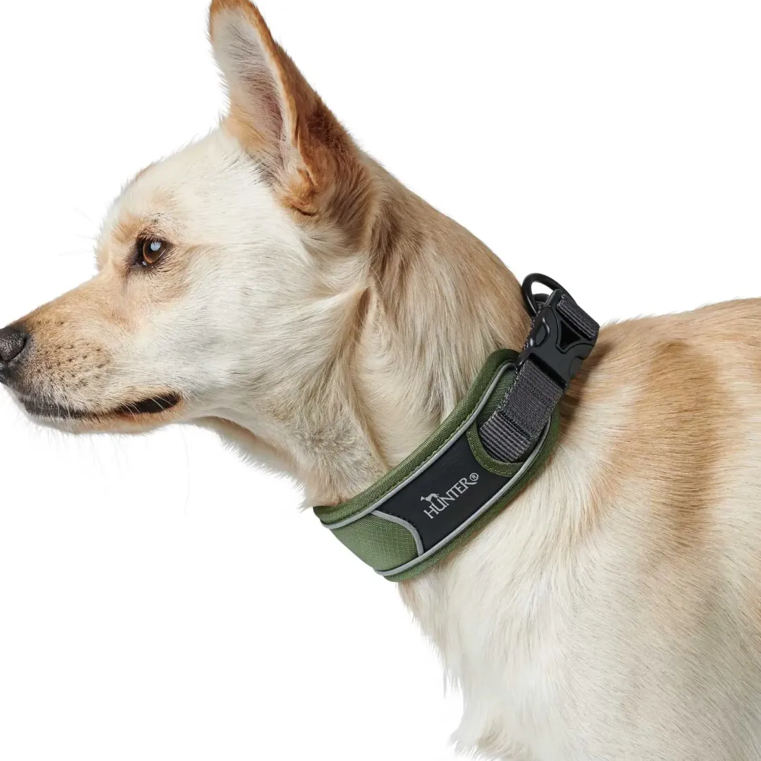 Sale Halsbånd Divo XL Grøn/Grå - justerbart hundehalsbånd (55-65 cm, B 5,5 cm) Hvalpehalsbånd - Bløde Og Sikre Halsbånd Med Perfekt Pasform Til Din Hvalp|Hundehalsbånd Med Stil - Komfort Og Sikkerhed Til Din Hund