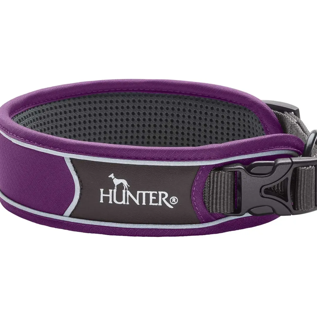 Outlet Halsbånd Divo XL Violet/Grå - justerbart hundehalsbånd (55-65 cm, B 5,5 cm) Hvalpehalsbånd - Bløde Og Sikre Halsbånd Med Perfekt Pasform Til Din Hvalp|Hundehalsbånd Med Stil - Komfort Og Sikkerhed Til Din Hund