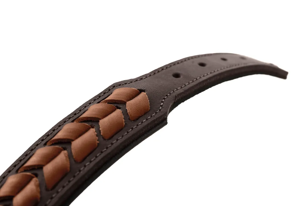 Discount Halsbånd El Paso L Brun/Sort 65 - 50-56 cm Hvalpehalsbånd - Bløde Og Sikre Halsbånd Med Perfekt Pasform Til Din Hvalp|Hundehalsbånd Med Stil - Komfort Og Sikkerhed Til Din Hund