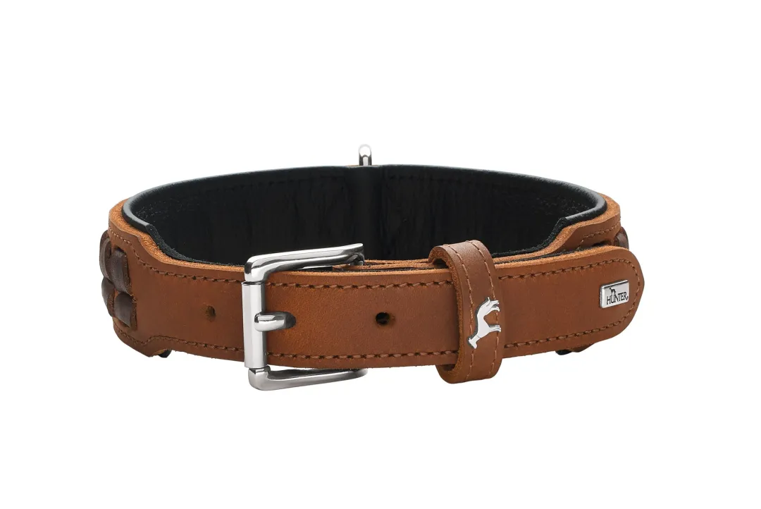 New Halsbånd El Paso M-L 60 Cognac/Sort - 46-52 cm Hvalpehalsbånd - Bløde Og Sikre Halsbånd Med Perfekt Pasform Til Din Hvalp|Hundehalsbånd Med Stil - Komfort Og Sikkerhed Til Din Hund