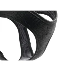Discount Hilo læder hundesele sort XXS/XS - hals 30-34 cm Hvalpeseler - Bløde Justerbare Seler Der Giver Din Hvalp Tryghed Og Støtte På Turen|Hundeseler Til Alle Behov Og Hundestørrelser