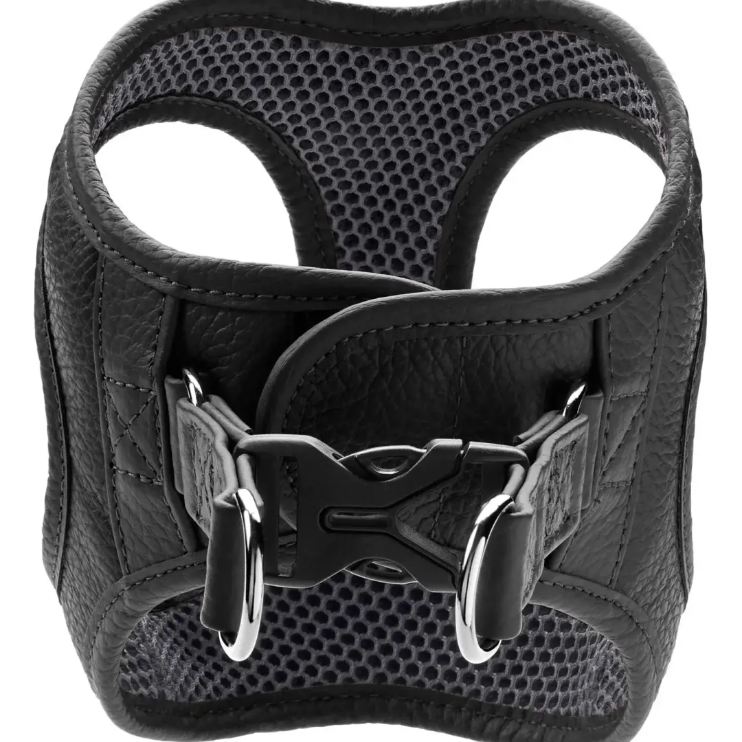 Sale Hilo læder hundesele XS brun hals 33-37 cm - let og blød pasform Hvalpeseler - Bløde Justerbare Seler Der Giver Din Hvalp Tryghed Og Støtte På Turen|Hundeseler Til Alle Behov Og Hundestørrelser