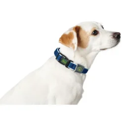 Clearance hunde halsbånd Hilo Blå M-L - justerbart hundehalsbånd (33-50 cm, B 2,5 cm) Hvalpehalsbånd - Bløde Og Sikre Halsbånd Med Perfekt Pasform Til Din Hvalp|Hundehalsbånd Med Stil - Komfort Og Sikkerhed Til Din Hund