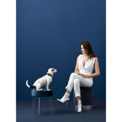 hunde halsbånd Hilo Blå XL - justerbart hundehalsbånd (45-70 cm, B 3,8 cm) Hvalpehalsbånd - Bløde Og Sikre Halsbånd Med Perfekt Pasform Til Din Hvalp|Hundehalsbånd Med Stil - Komfort Og Sikkerhed Til Din Hund