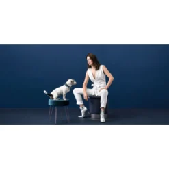 hunde halsbånd Hilo Blå XL - justerbart hundehalsbånd (45-70 cm, B 3,8 cm) Hvalpehalsbånd - Bløde Og Sikre Halsbånd Med Perfekt Pasform Til Din Hvalp|Hundehalsbånd Med Stil - Komfort Og Sikkerhed Til Din Hund