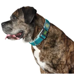 hunde halsbånd Hilo Turkis M-L - justerbart hundehalsbånd (33-50 cm, B 2,5 cm) Hvalpehalsbånd - Bløde Og Sikre Halsbånd Med Perfekt Pasform Til Din Hvalp|Hundehalsbånd Med Stil - Komfort Og Sikkerhed Til Din Hund