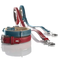 Best Hundehalsbånd læder Canada Elg Str.35 Rød - 24-30 cm Hvalpehalsbånd - Bløde Og Sikre Halsbånd Med Perfekt Pasform Til Din Hvalp|Hundehalsbånd Med Stil - Komfort Og Sikkerhed Til Din Hund