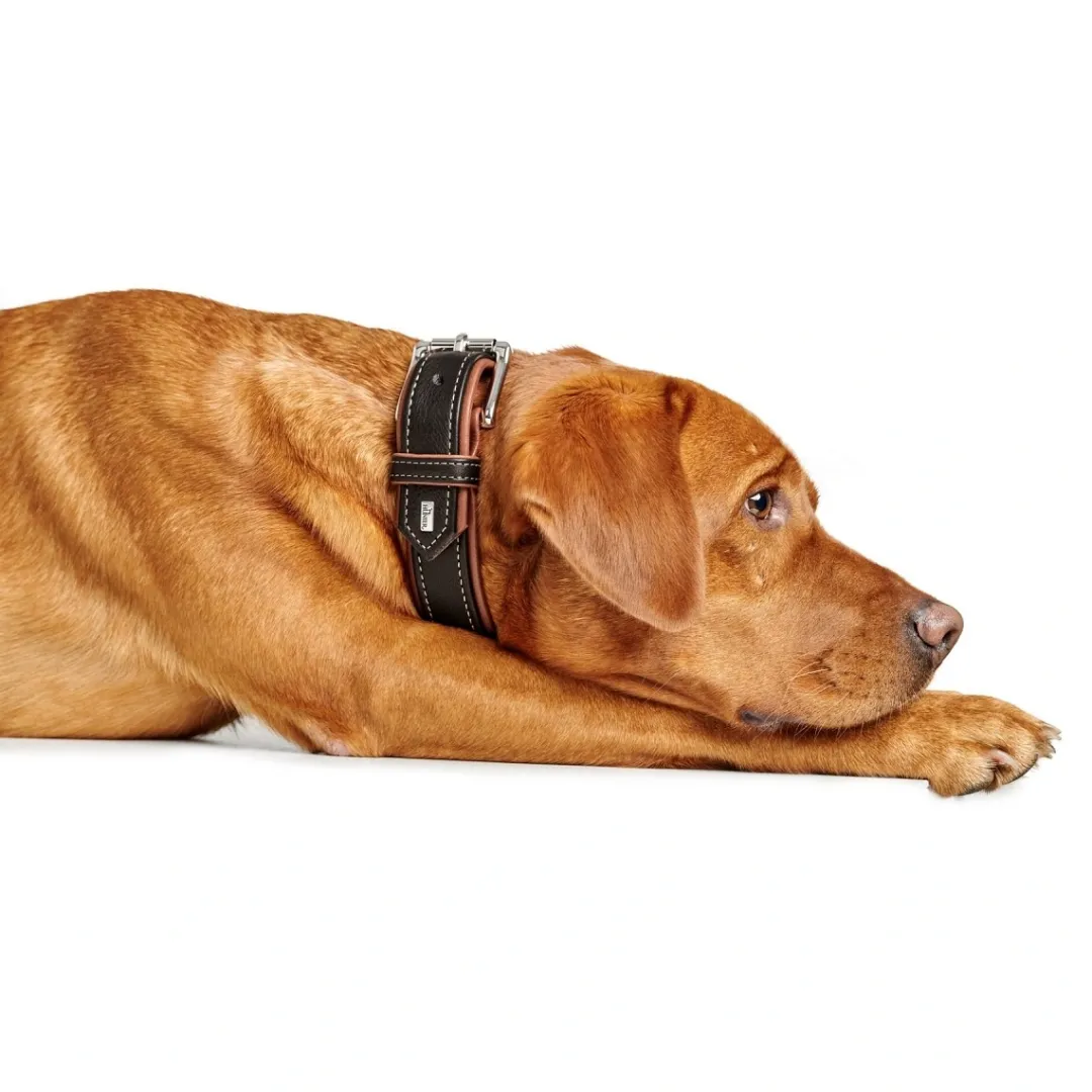 Hot Hundehalsbånd læder Canada Elg Str.65 Sort/Cognac - 50-56 cm Hvalpehalsbånd - Bløde Og Sikre Halsbånd Med Perfekt Pasform Til Din Hvalp|Hundehalsbånd Med Stil - Komfort Og Sikkerhed Til Din Hund